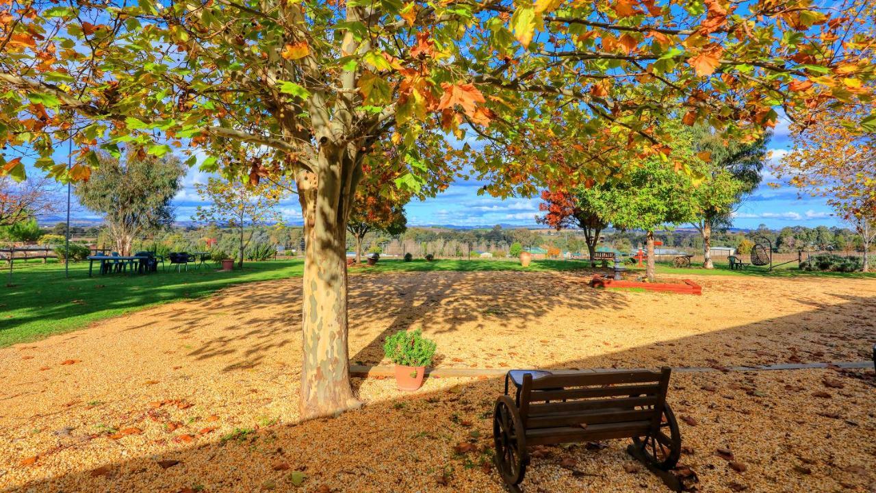 The Vineyard Motel คาวรา ภายนอก รูปภาพ