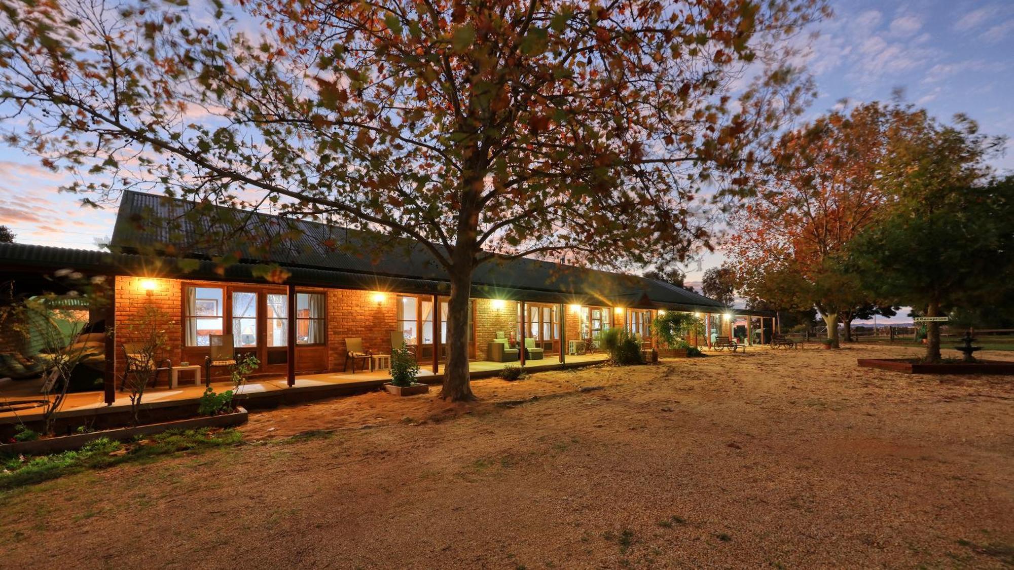 The Vineyard Motel คาวรา ภายนอก รูปภาพ