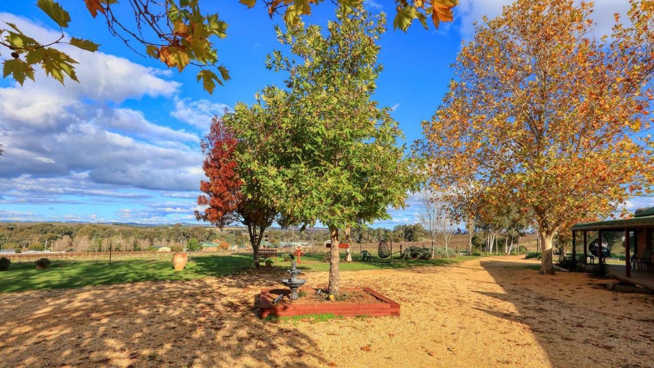 The Vineyard Motel คาวรา ภายนอก รูปภาพ
