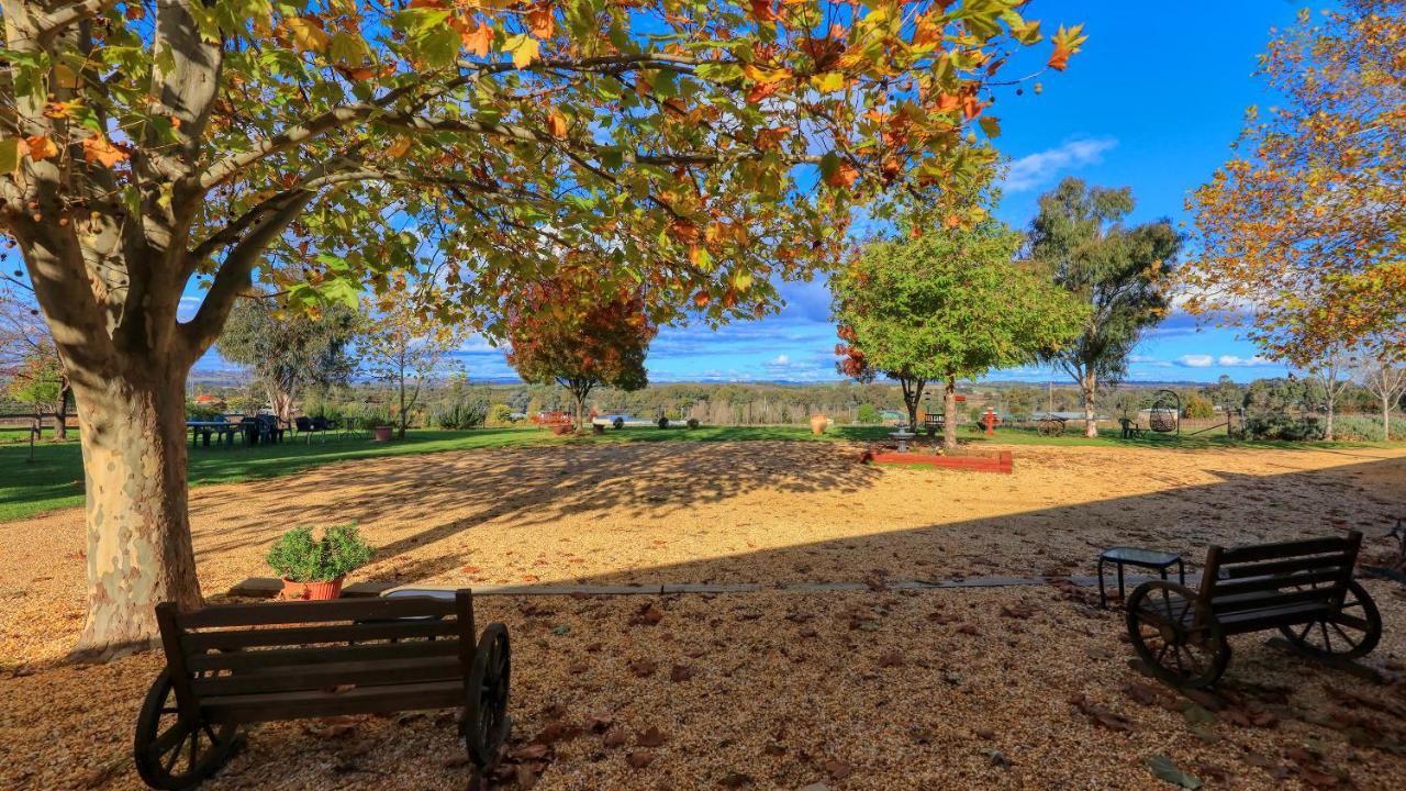 The Vineyard Motel คาวรา ภายนอก รูปภาพ
