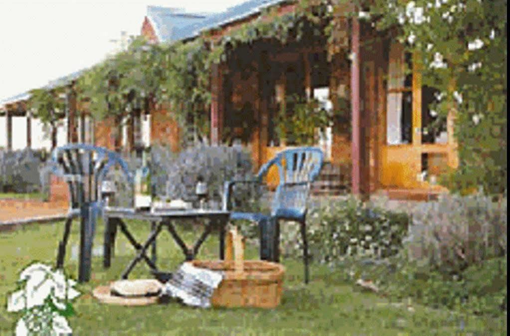 The Vineyard Motel คาวรา ภายนอก รูปภาพ